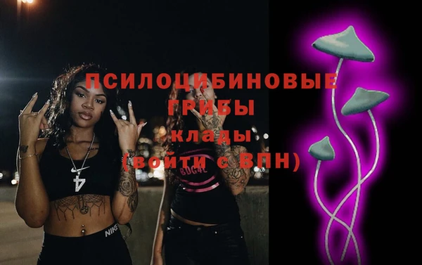 spice Абаза