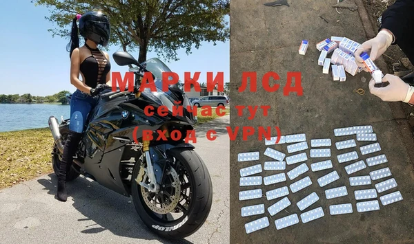 ECSTASY Алзамай