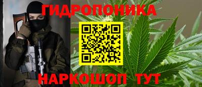 jwh Будённовск