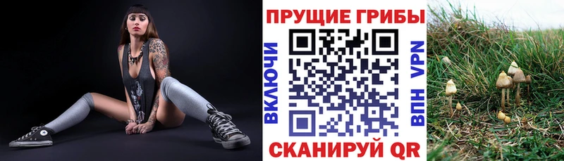 Галлюциногенные грибы GOLDEN TEACHER  где купить наркоту  Клинцы 