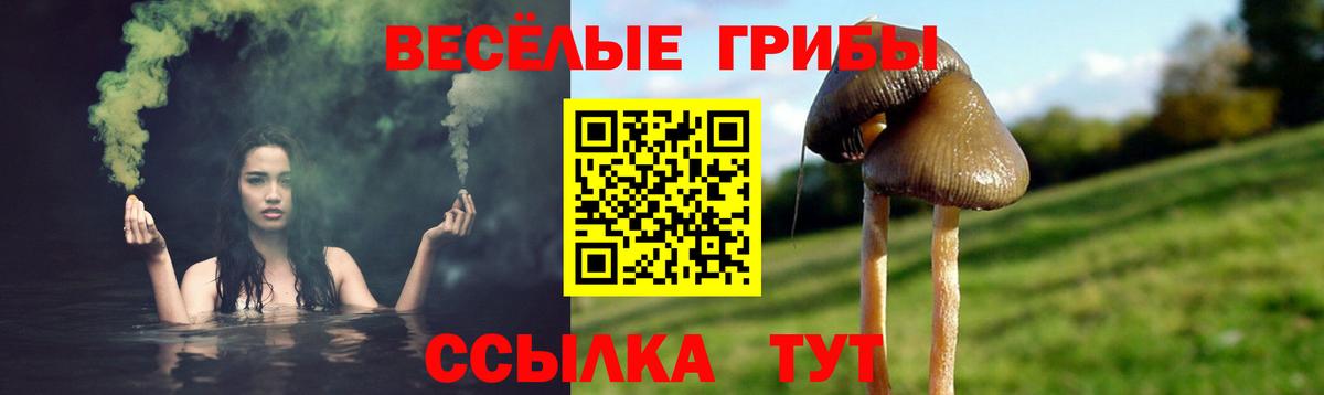 Галлюциногенные грибы мухоморы Клинцы